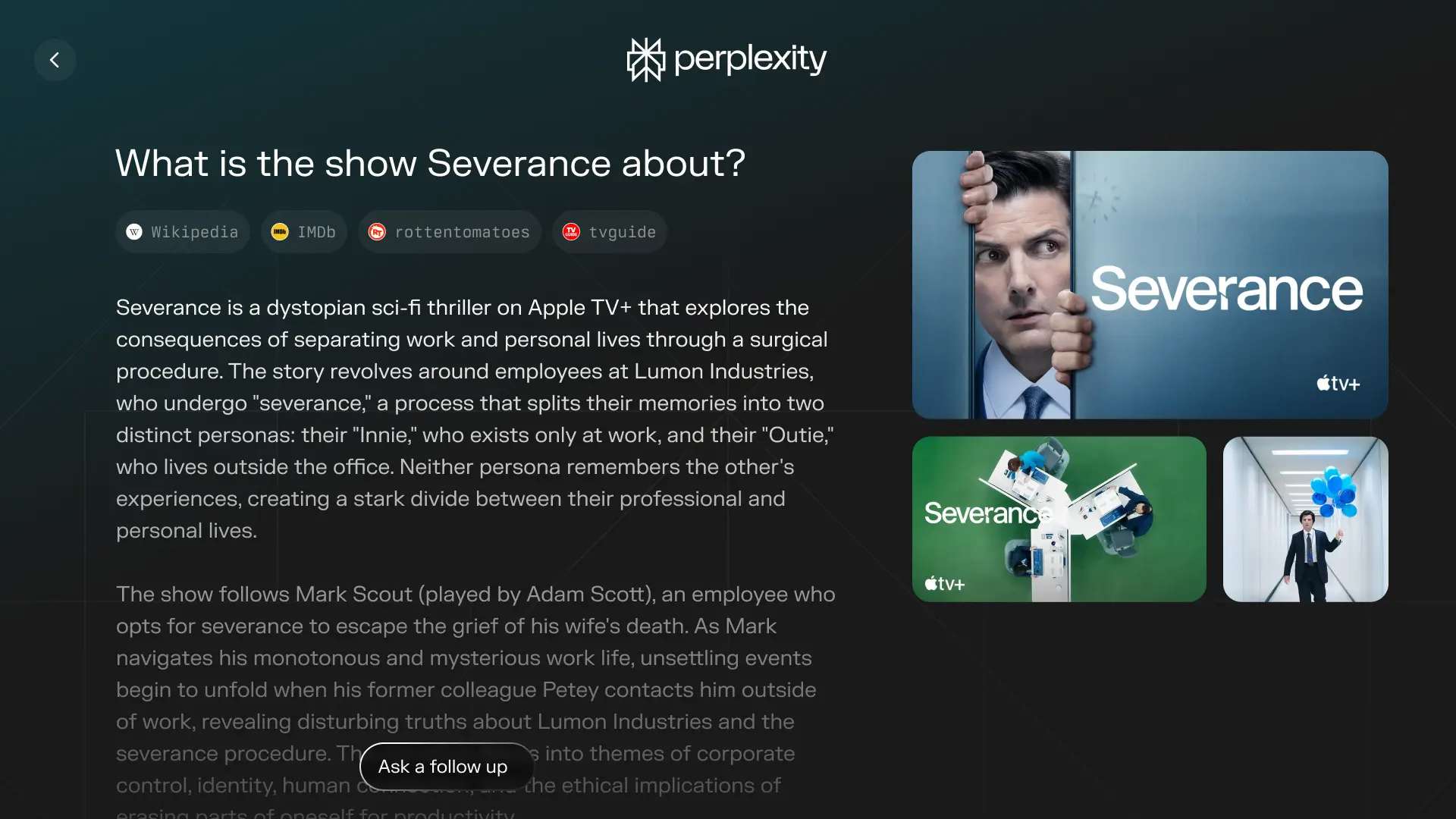 Perplexity